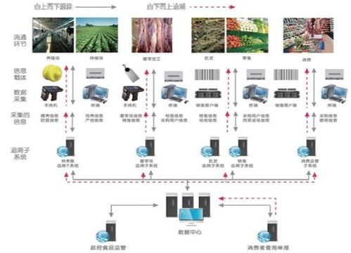 食品安全防偽追溯系統 一體化軟件設計與開發解決方案